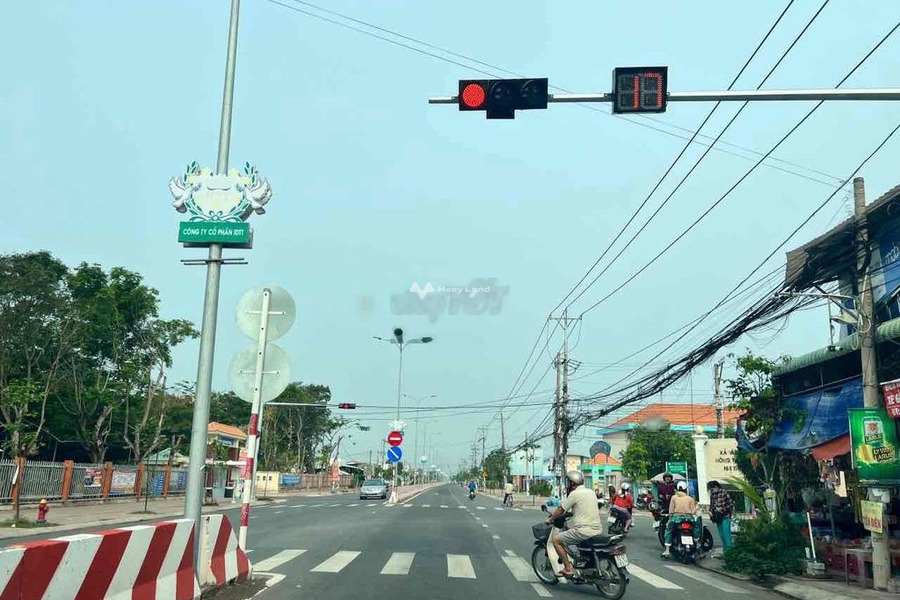 Bán đất diện tích 100m2 Thủ Thừa, Long An-01