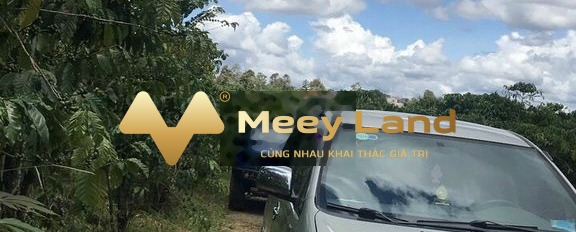 Bán lô đất Hà Giang, Lâm Đồng, 1028m2-03