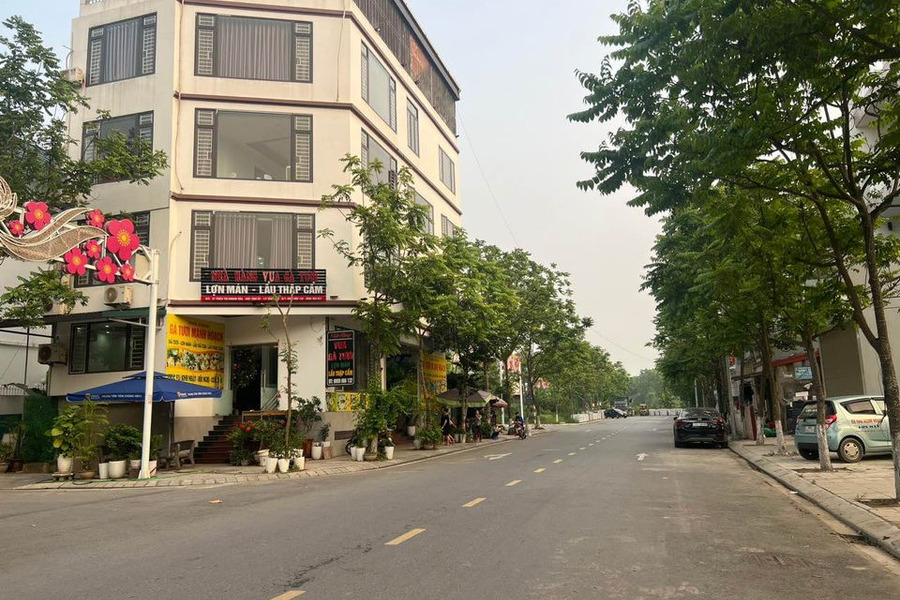 Bán nhà tại Tô Hiến Thành, Vĩnh Yên, Vĩnh Phúc. Diện tích 100m2-01