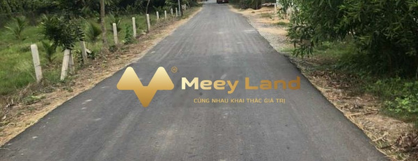 Vị trí thuận lợi tọa lạc tại Nguyễn Thị Náo, Củ Chi bán đất, giá thực tế chỉ 1.5 tỷ, hướng Bắc dt quy ước 135 m2-02