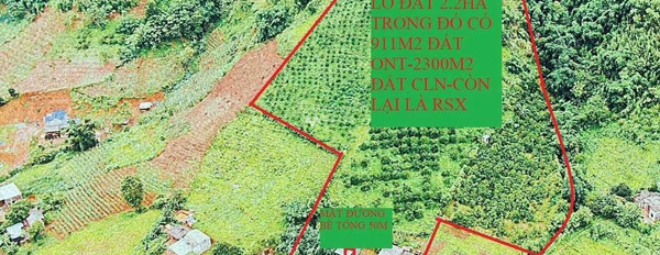 Giá siêu tốt 3 tỷ bán đất có diện tích tổng là 22000m2 vị trí thuận tiện Nam Phong, Cao Phong-03
