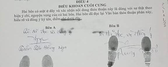 Bán đất tặng nhà cấp 4, giá rẻ chỉ 1,1 tỷ - thuộc P. Tương Bình Hiệp - Thủ Dầu Một - Bình Dương -02