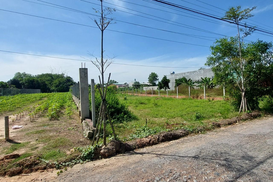 Chính chủ cần bán đất ở diện tích 881 m2 xã Thanh Phước, huyện Gò Dầu, tỉnh Tây Ninh -01