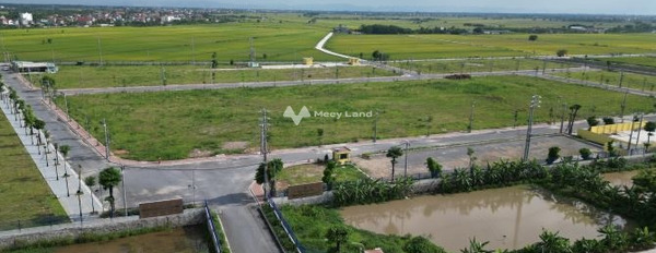 Cho thuê kho bãi diện tích 51000m2 vị trí mặt tiền tại Đại Thắng, Hà Nội-02