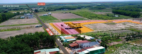 Công việc cấp bách cần bán mảnh đất, 250m2 giá bán rẻ chỉ 290 triệu mặt tiền nằm ngay Tân Quan, Bình Phước giá cực mềm-02