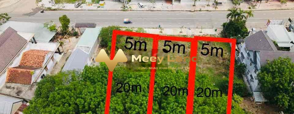 Bán đất 100m2, vị trí đẹp nằm ngay Bình Chánh, Hồ Chí Minh-02