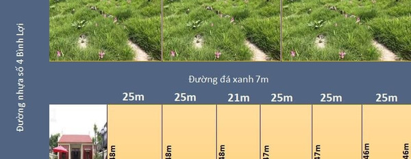 Bán đất trồng lúa diện tích 7008m2-03