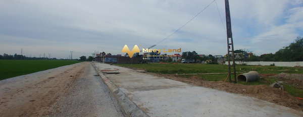 Bán đất với dt chuẩn 80 m2 vị trí đẹp tọa lạc trên Tiên Du, Bắc Ninh-03