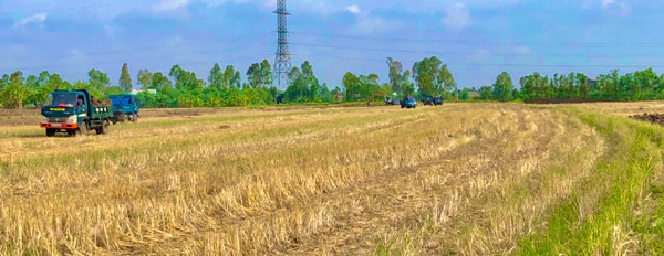 Bán đất tại Thanh Nhung, Phước Trung diện tích 13000m2 đất trồng lúa, giá 400 triệu công. Tổng giá 5,2 tỷ-02