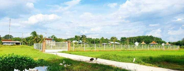 Bán đất giá 750 triệu tại An Nhơn Tây, Củ Chi-03