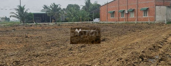 Đt 786, Tây Ninh bán đất giá bán chính chủ 580 triệu diện tích rộng rãi 200m2-03