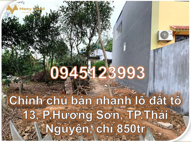 Chính chủ bán nhanh lô đất tổ 13, Hương Sơn, Thái Nguyên