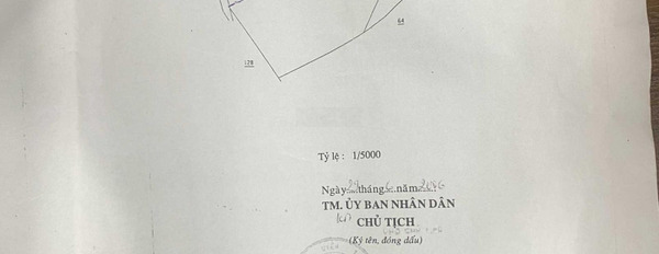Bao ra sổ, giá còn thương lượng, 200m đất tại Xã Tân Định, Bắc Tân Uyên, Bình Dương -03