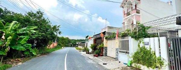 Cần bán nhà riêng thành phố Thủ Dầu Một, Bình Dương giá 3,59 tỷ-02