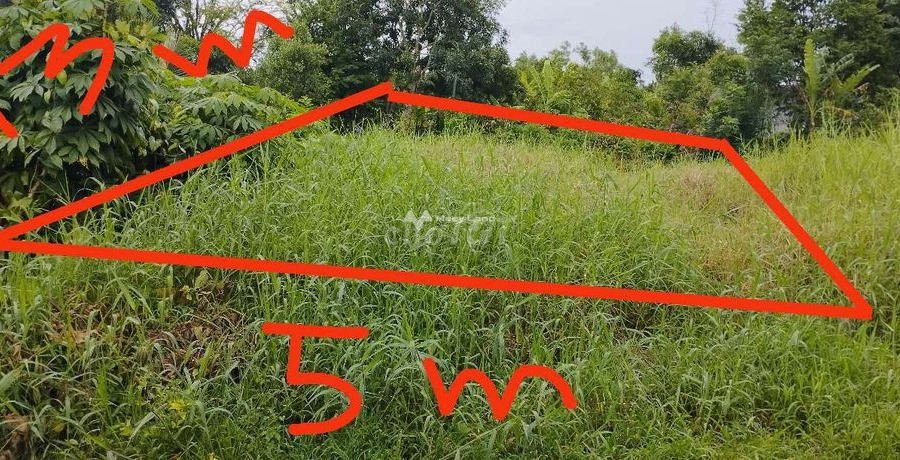Tân Thành, Cà Mau bán đất giá bán bất ngờ 90 triệu có diện tích sàn 65m2-01