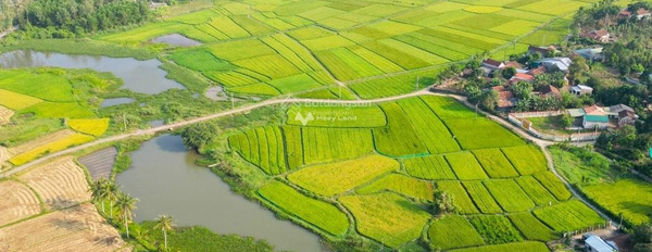Giá siêu tốt chỉ 915 triệu bán đất diện tích rộng là 915m2 Phía trong Tịnh Hòa, Quảng Ngãi-03