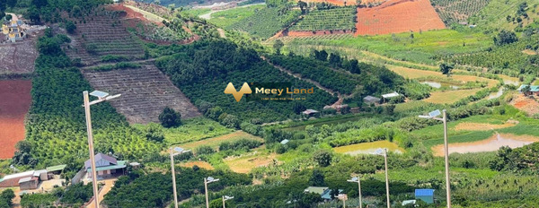 Cần tiền ra đi gấp bán mảnh đất, 200 m2 giá chốt nhanh từ 539 triệu vị trí thích hợp Lâm Hà, Lâm Đồng lh tư vấn thêm-03