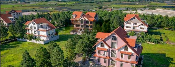 Vị trí đẹp ở Thị Trấn Phùng, Đan Phượng, bán biệt thự, bán ngay với giá vô cùng rẻ chỉ 40 triệu diện tích rộng 200m2 giá mềm sinh viên-03