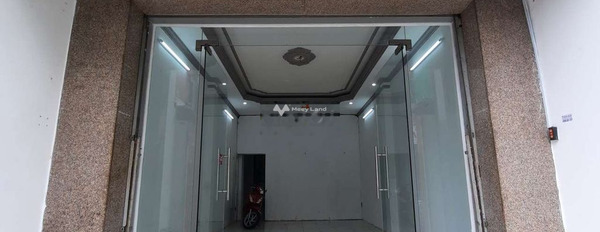 Cho thuê nhà ở diện tích chính là 72m2 thuê ngay với giá cực kì tốt chỉ 20 triệu/tháng vị trí thuận lợi tọa lạc tại Trương Vĩnh Ký, Hồ Chí Minh-03