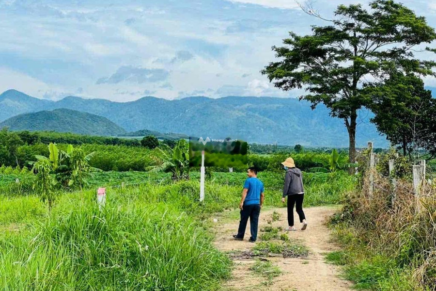 Ninh Hòa, Khánh Hòa bán đất giá bán siêu mềm từ 268 triệu, hướng Đông Bắc diện tích chuẩn 1000m2-01