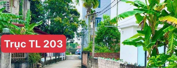 Bán lô đất 60m2 Thôn 2 Xã Thiên Hương, Thủy Nguyên, giá chỉ 1,08 tỷ -02