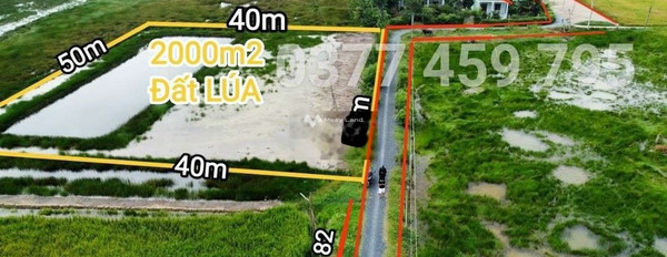 Bán đất 2.7 tỷ Long Hựu Tây, Cần Đước diện tích tổng là 2000m2-02