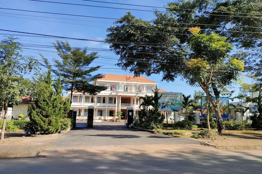 Chuyển định cư bán mảnh đất, 873m2 giá bán thương lượng chỉ 2.2 triệu vị trí thuận lợi tọa lạc ngay tại N'Thol Hạ, Lâm Đồng, hướng Tây Nam giá siêu rẻ-01