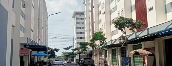 Căn hộ Phúc An City thuộc dự án Trần Anh Group giá chỉ 240 triệu-02