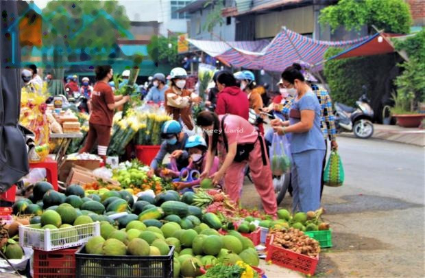 Bán biệt thự, bán ngay với giá công khai chỉ 500 triệu diện tích khoảng 2000m2 vị trí mặt tiền ở Tân An, Cần Thơ-01