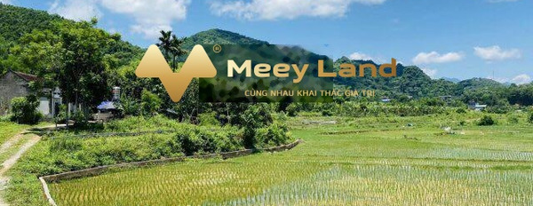 28,69 tỷ bán đất diện tích rộng là 6040 m2 vị trí ngay ở Lương Sơn, Hòa Bình-03