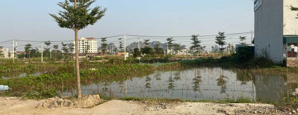 Giá cực sốc từ 3.36 tỷ bán đất diện tích tiêu chuẩn 120m2 vị trí đặt nằm trên Gia Thịnh, Ninh Bình-02