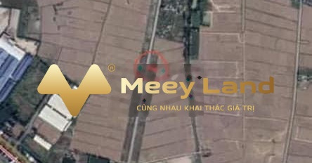 Ngay Bình Giang, Hải Dương bán đất 1,2 tỷ với diện tích 100m2-03