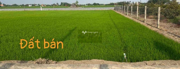 Bán mảnh đất, giá bán cực tốt chỉ 980 triệu diện tích quy đổi 300m2-03