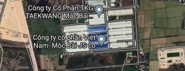 Nằm trong mức 14.5 tỷ bán đất diện tích rộng là 31000m2 vị trí tiện lợi Lợi Thuận, Bến Cầu-02