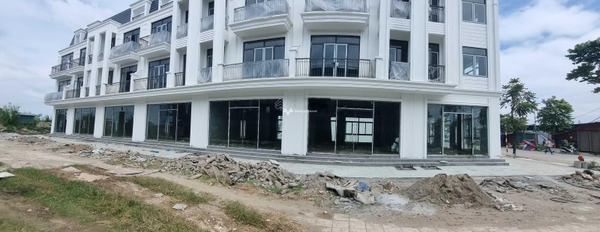 Cần bán liền kề giá 6 tỷ, diện tích 117m2 nằm trên Thanh Lâm, Mê Linh-03