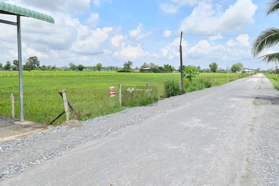 Vị trí mặt tiền nằm tại Bến Cầu, Tây Ninh bán đất giá siêu rẻ từ 5.65 tỷ diện tích gồm 2800m2-01