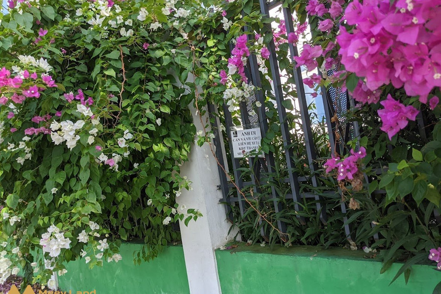 Bán lô đất biệt thự tại b1.4 nhìn vườn hoa, giá rẻ tại khu đô thị Thanh Hà giá gốc 10 triệu/m2-01