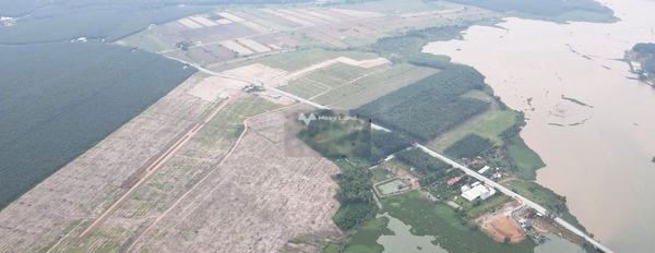 900 triệu bán đất diện tích là 125m2 vị trí thuận lợi ngay trên Nha Bích, Chơn Thành-03