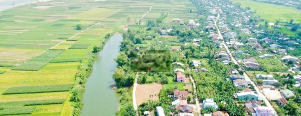 Tại Đại Hồng, Quảng Nam bán đất 380 triệu diện tích chung là 170m2-02