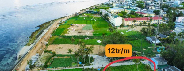 Vị trí hấp dẫn An Hải, Lý Sơn bán đất giá bán chốt nhanh từ 9.7 tỷ có một diện tích 969.7m2-03