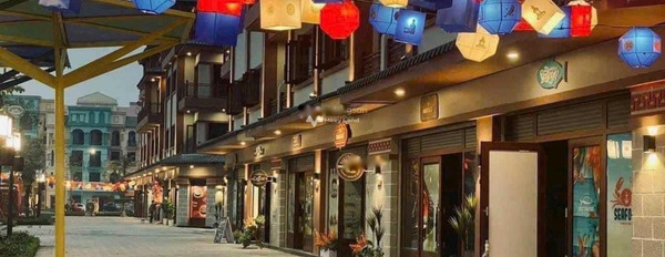 Văn Giang, Hưng Yên bán ngay với giá khởi điểm chỉ 8.3 tỷ bán shophouse có diện tích chung là 83m2 giao thông thuận lợi-02