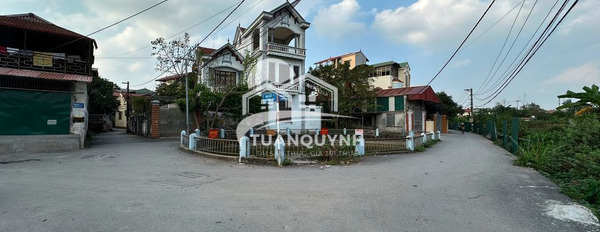 Cần bán đất huyện Đan Phượng Thành phố Hà Nội giá 45 triệu/m2-03