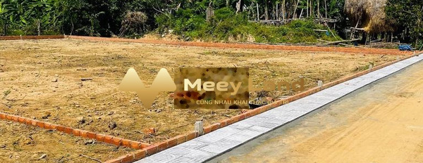 Bán mảnh đất 175m2 vị trí đặt nằm ngay Đt 609, Điện Hồng vị trí tốt-02