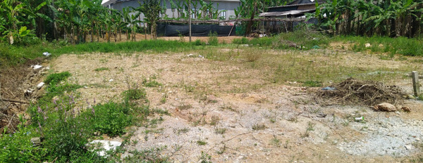 Bán đất tại Quảng Phú, Quảng Diền, Thừa Thiên Huế. Diện tích 100m2, giá 650 triệu-02