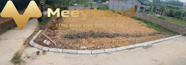 Bán đất 655.2 triệu Huyện Sóc Sơn, Hà Nội diện tích thực là 91m2-01