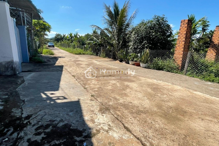 Buôn Ma Thuột, Đắk Lắk 650 triệu bán đất với diện tích 150m2-01