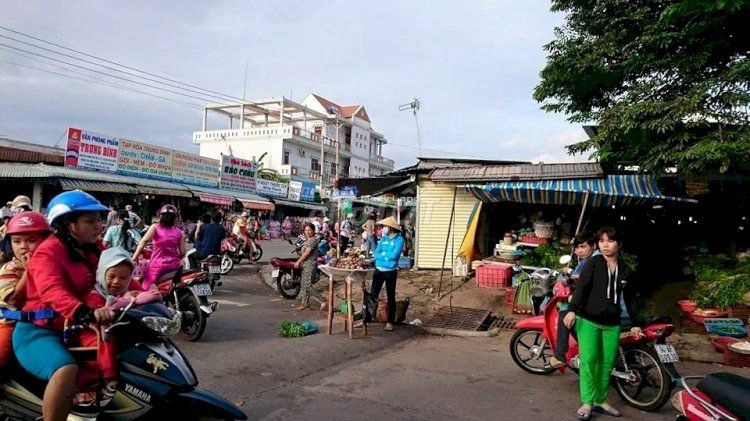 Đường Số 8, Thủ Thừa 150 triệu bán đất tổng diện tích là 100m2-01