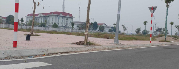 Bán mảnh đất diện tích 90m2 tại Tiến Thịnh, Mê Linh-02
