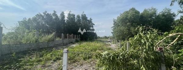 Tại Quốc Lộ 55, Bình Thuận bán đất, giá bán khởi điểm 3 tỷ, hướng Nam với diện tích chuẩn 1000m2-02