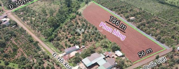 Vị trí thuận lợi tại Quốc Lộ 14, Đắk Lắk bán đất giá bán đề xuất từ 9.8 tỷ diện tích thực là 9800m2-03